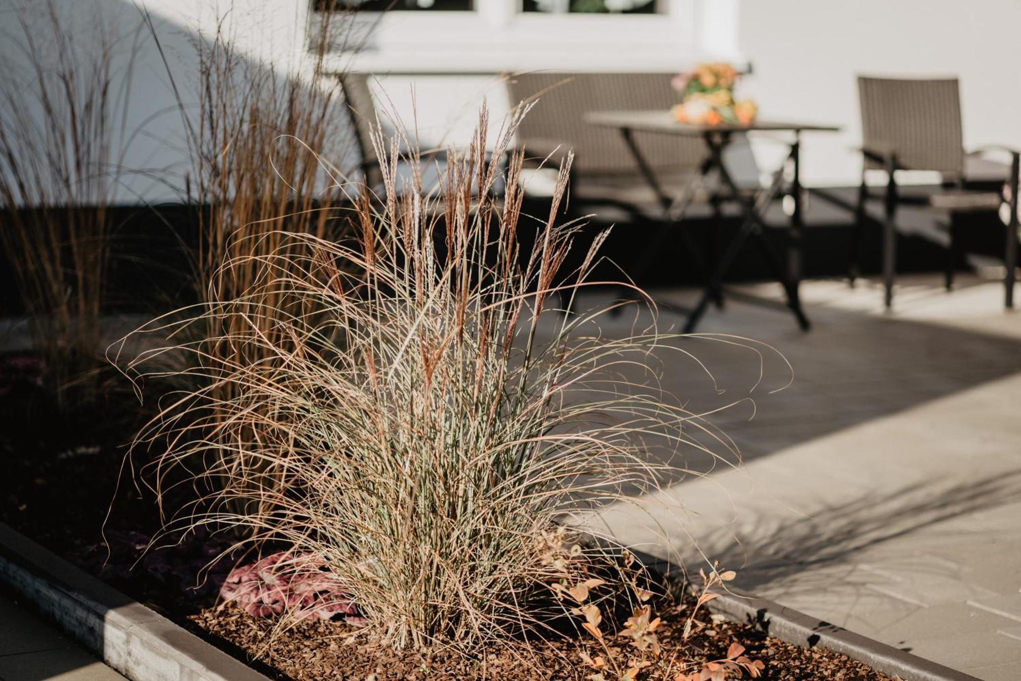 Rheinzeit-Weisweil Apartment Weisweil  Ngoại thất bức ảnh